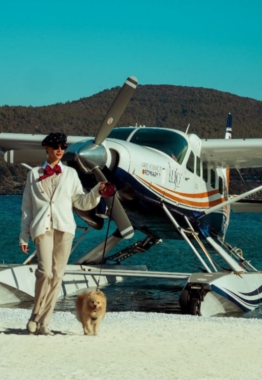 Luxuriöses Haustier-Erlebnis